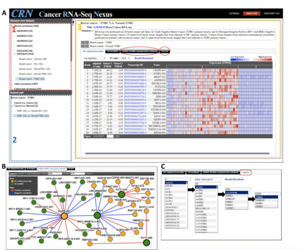 螢幕快照 2016-01-11 下午2.50.56
