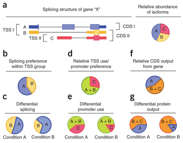 螢幕快照 2016-01-14 下午4.14.47