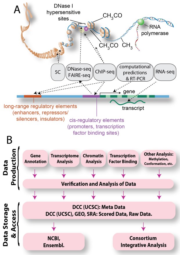 Figure 1-jdf-01