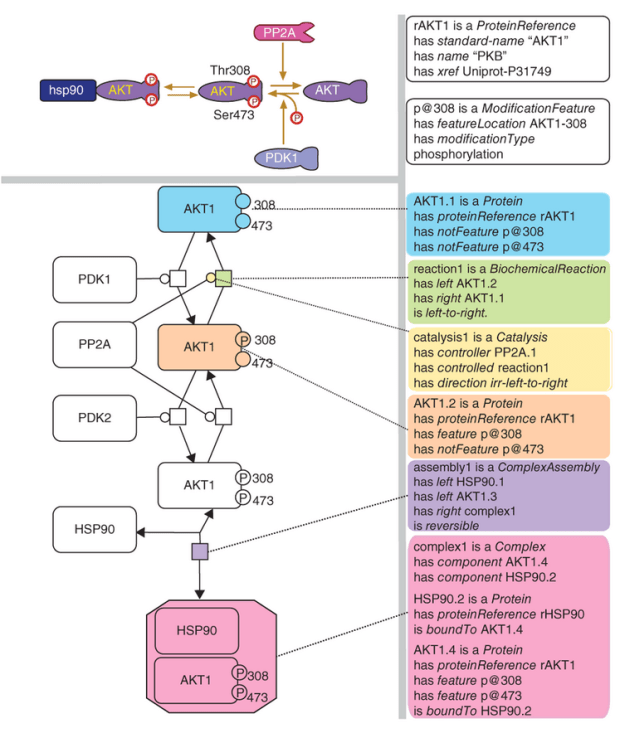 螢幕快照 2017-05-17 上午11.15.30.png